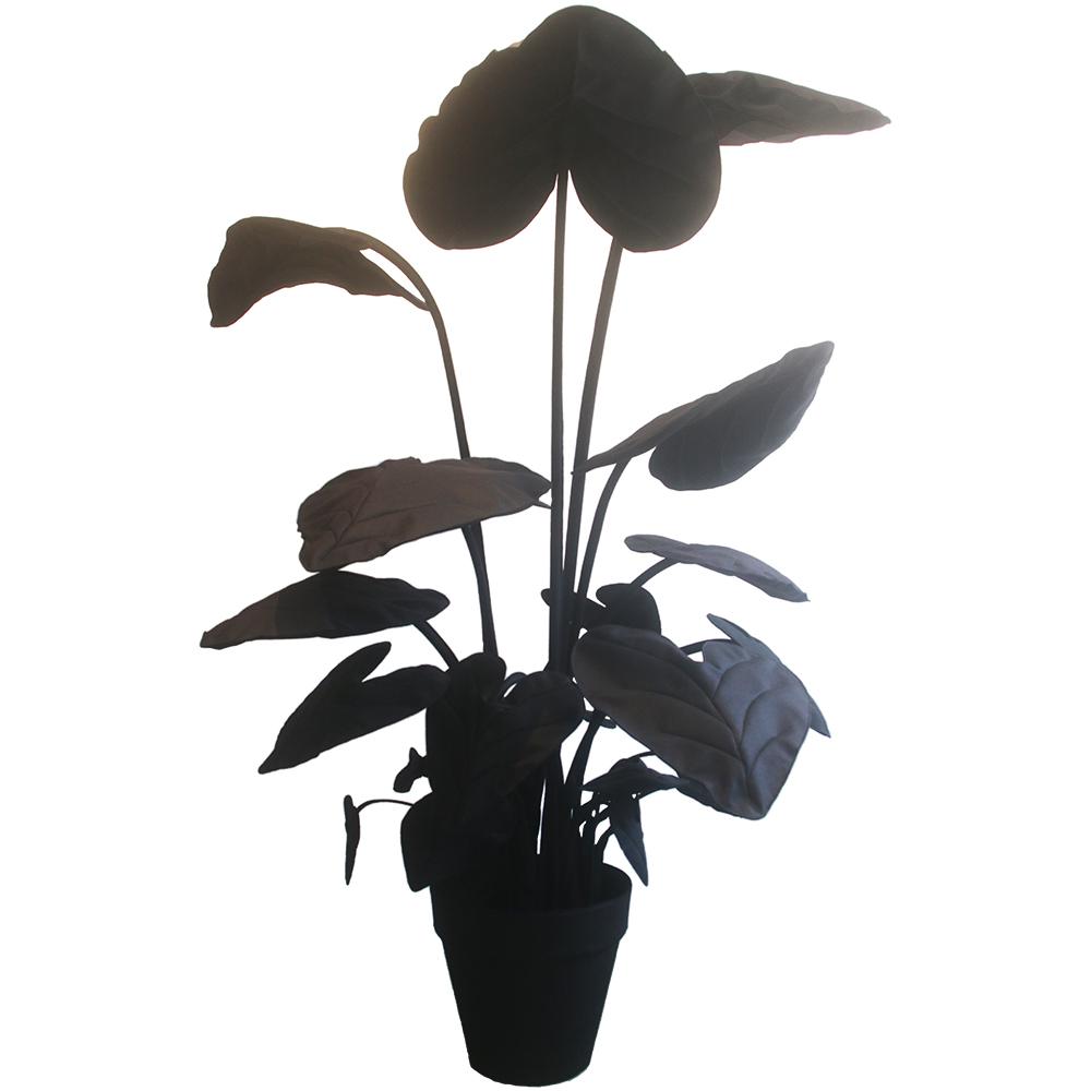 Feltplant Alocasia - Image 40