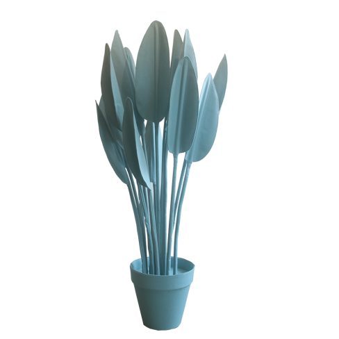 Strelitzia_S_57