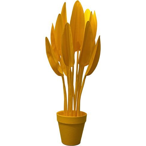 Strelitzia_S_03