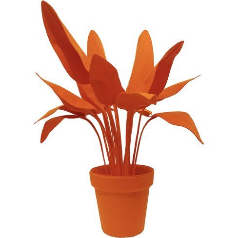 Strelitzia_XS_05