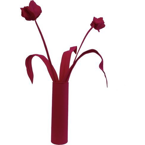 TULIP_08