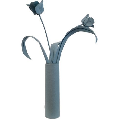 TULIP_57