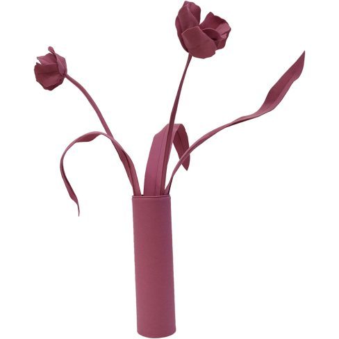 Tulip_64
