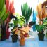 presentation of different plants in the studio