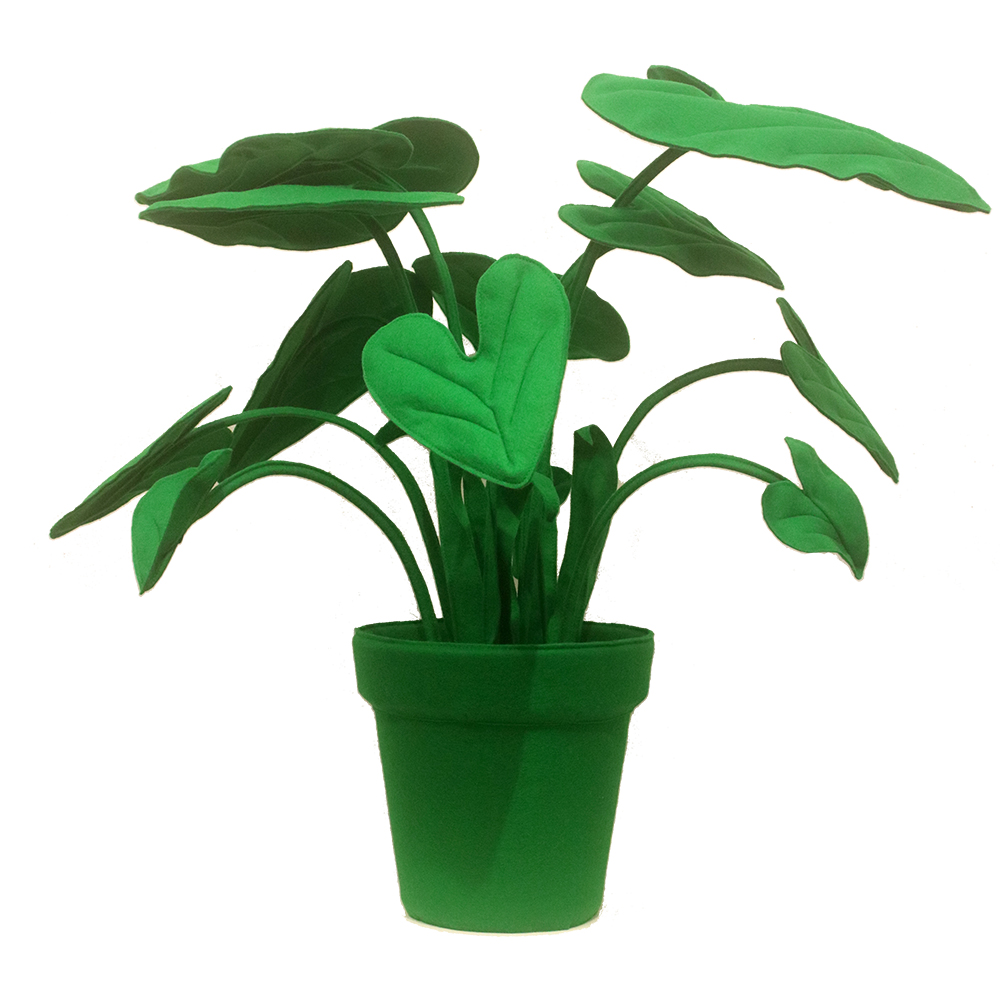 Feltplant Alocasia - Image 38