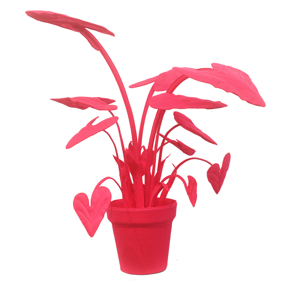 Feltplant Alocasia - Image 27
