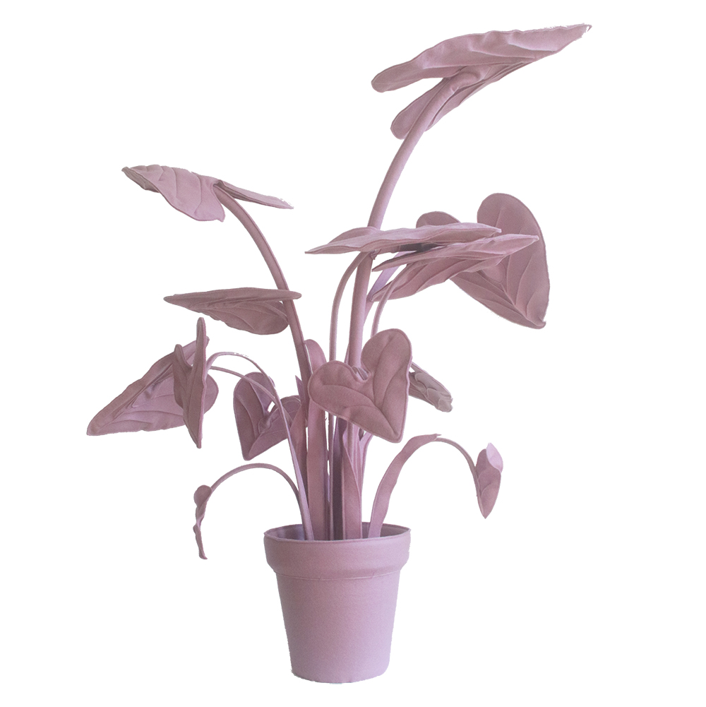Feltplant Alocasia - Image 28