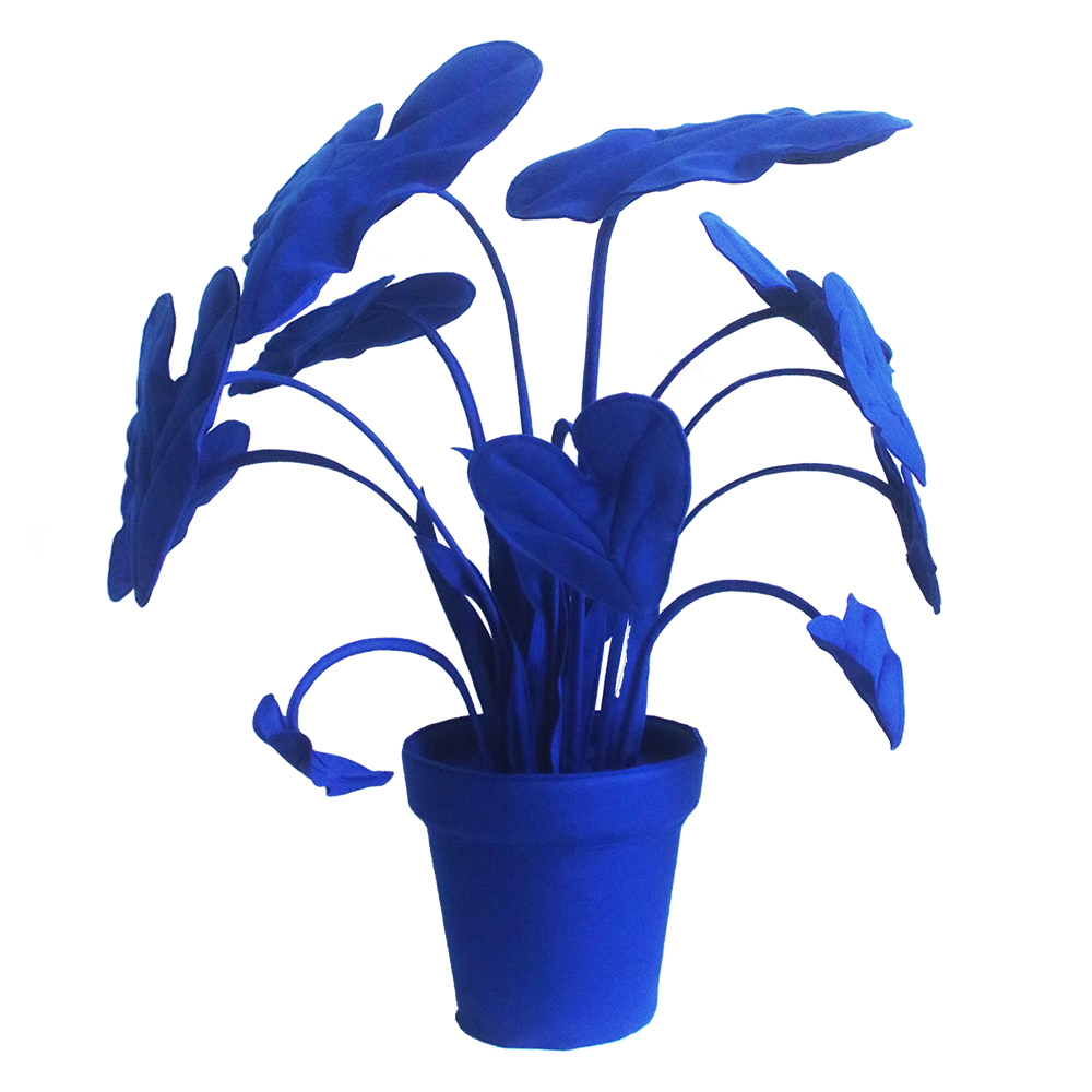 Feltplant Alocasia - Image 39